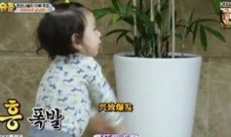 威廉跑腿爆料视频,揭秘幕后真相，带你走进神秘世界